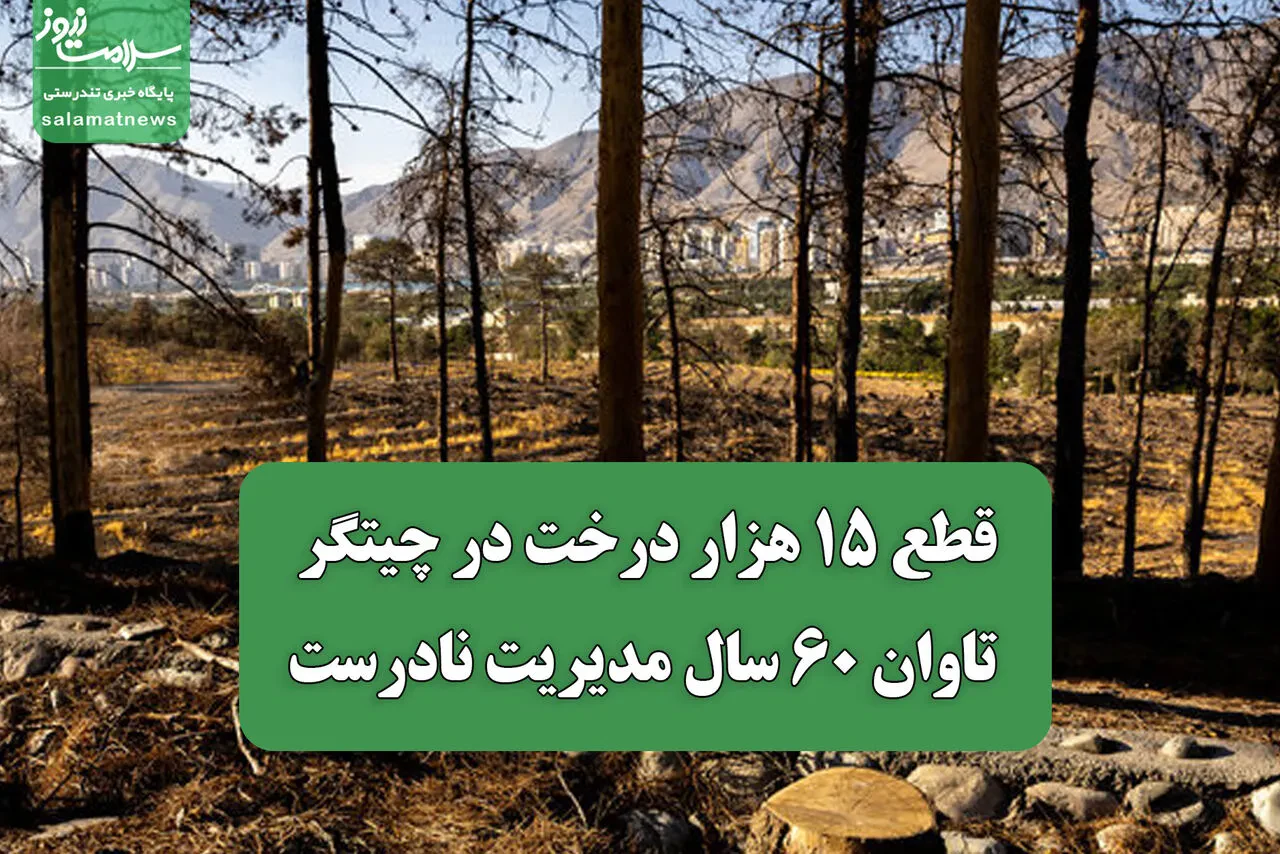 قطع ۱۵ هزار درخت در چیتگر، تاوان ۶۰ سال مدیریت نادرست