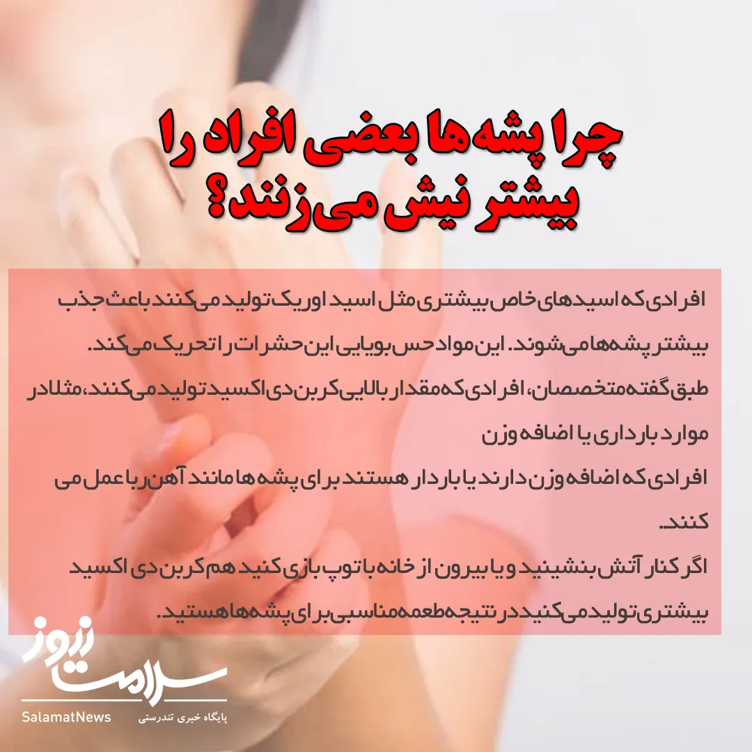 با مصرف این ویتامین از نیش پشه در تابستان در امان باشید