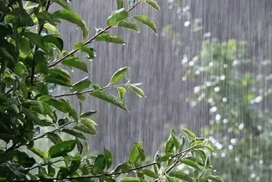 آماده-باش-دستگاه-های-امدادی-در-6-استان-هواشناسی-هشدار-داد