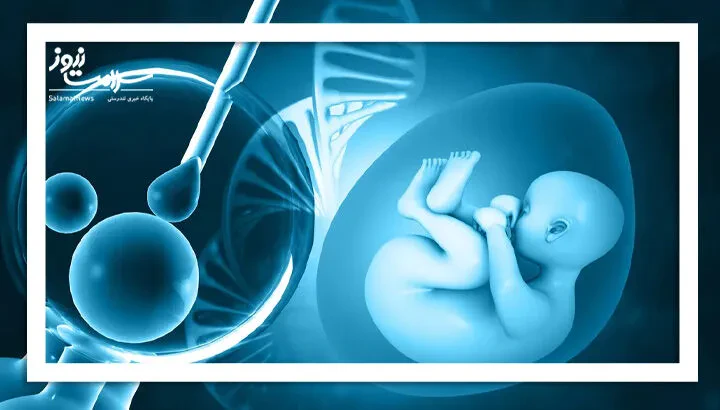آنچه زنان باید درباره فریز تخمک بدانند