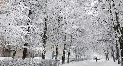 هواشناسی-بارش-باران-و-برف-فردا-در-4-استان