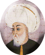 فضولی
